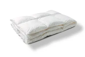 Jonk Couette Montana 100 % duvet d'oie Pilsener hiver