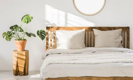 Quelles plantes sont idéales pour votre chambre à coucher